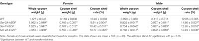 A Targeted In-Fusion Expression System for Recombinant Protein Production in Bombyx mori